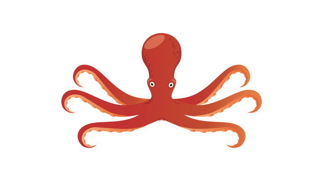 Spielt die Größe eine Rolle?